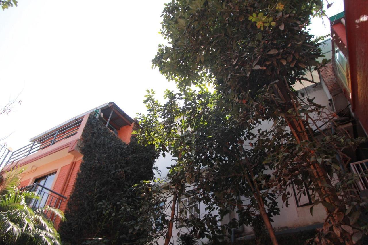 Ojas Wellness B&B Lalitpur Esterno foto